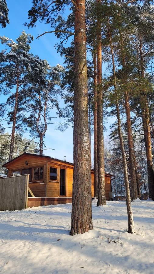 Kompleks Wypoczynkowy Półwysep Lipa Wdzydze Tucholskie Exterior foto