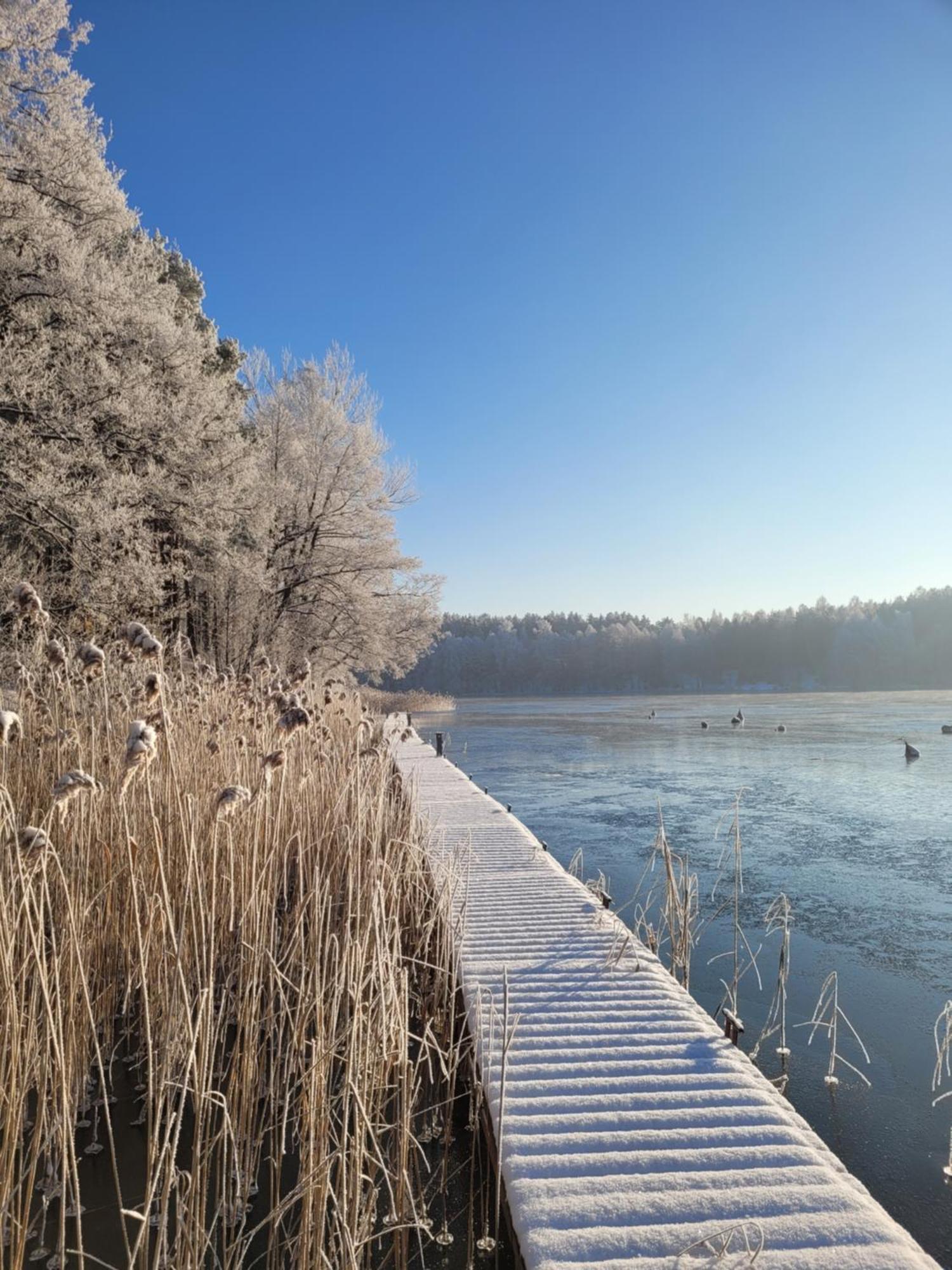 Kompleks Wypoczynkowy Półwysep Lipa Wdzydze Tucholskie Exterior foto
