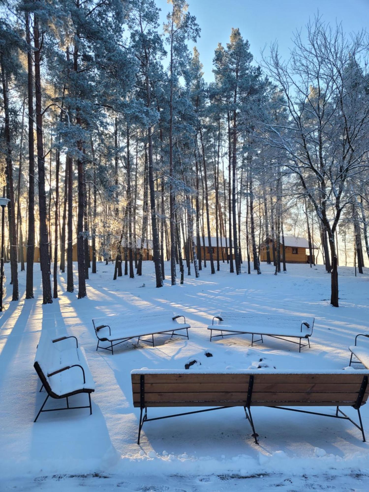 Kompleks Wypoczynkowy Półwysep Lipa Wdzydze Tucholskie Exterior foto