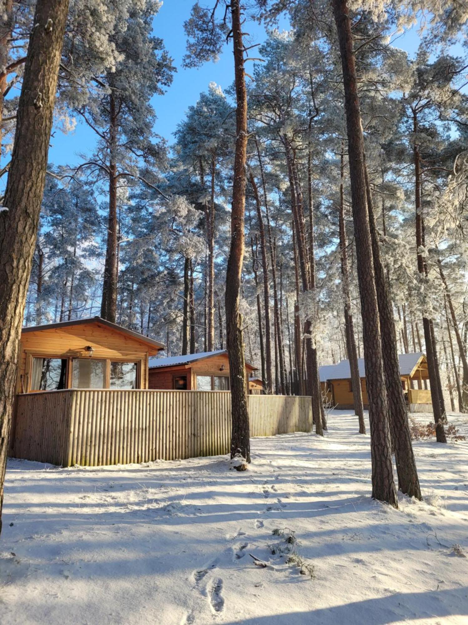 Kompleks Wypoczynkowy Półwysep Lipa Wdzydze Tucholskie Exterior foto