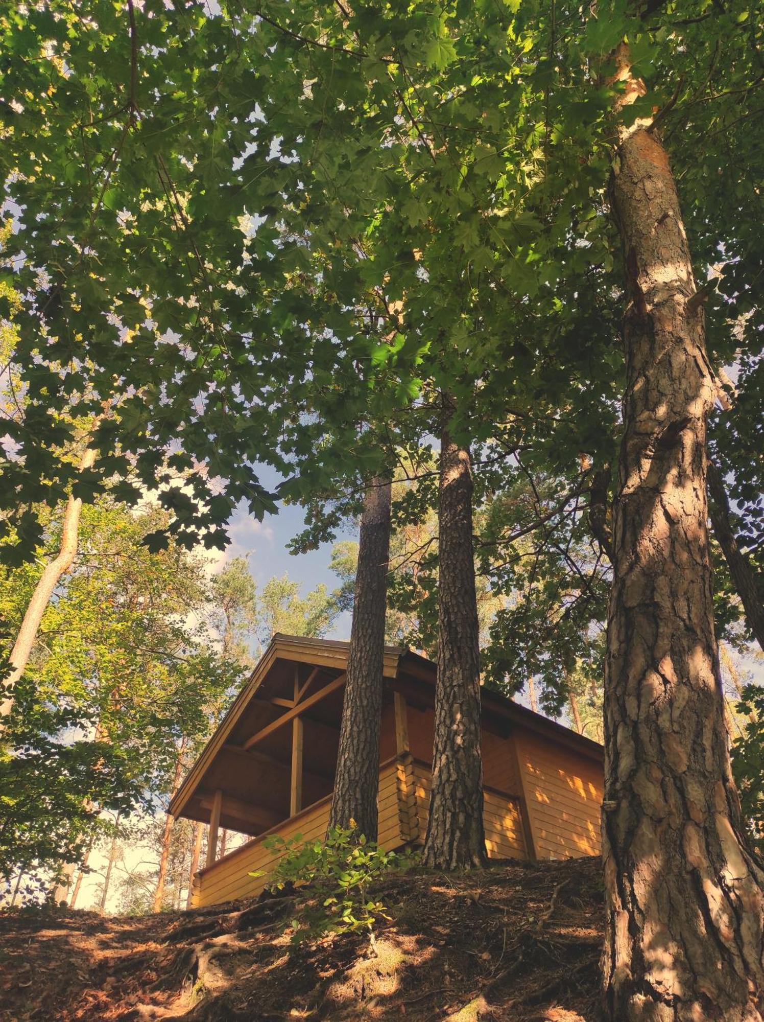 Kompleks Wypoczynkowy Półwysep Lipa Wdzydze Tucholskie Exterior foto