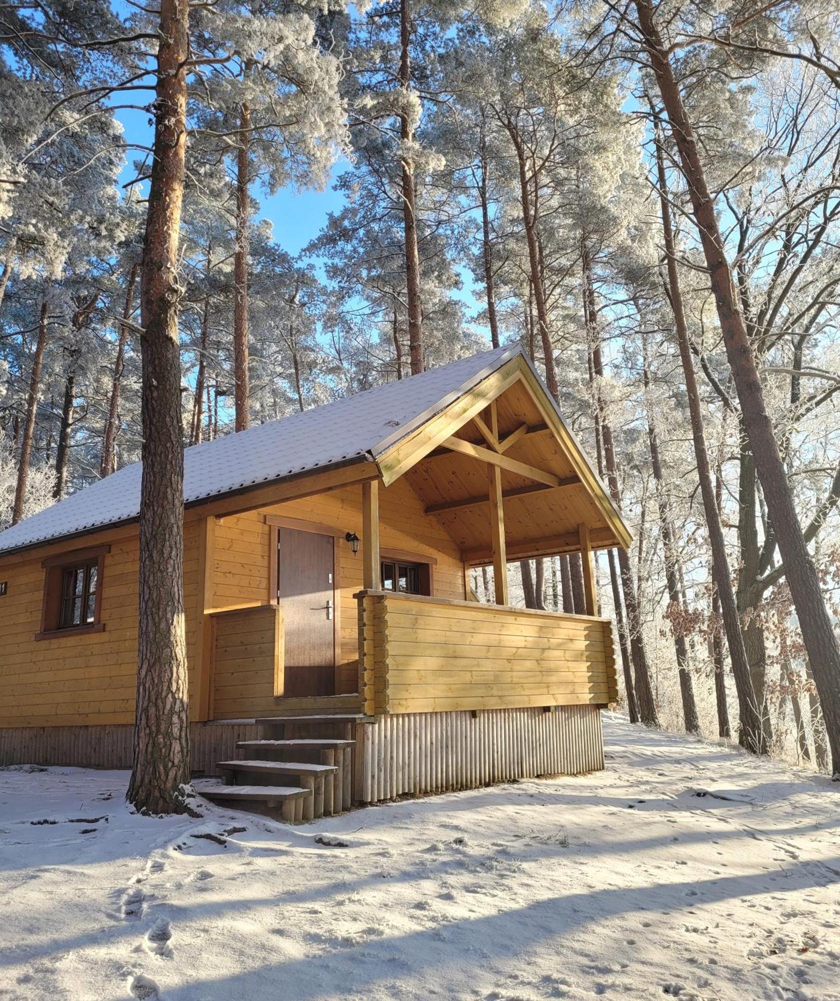 Kompleks Wypoczynkowy Półwysep Lipa Wdzydze Tucholskie Exterior foto