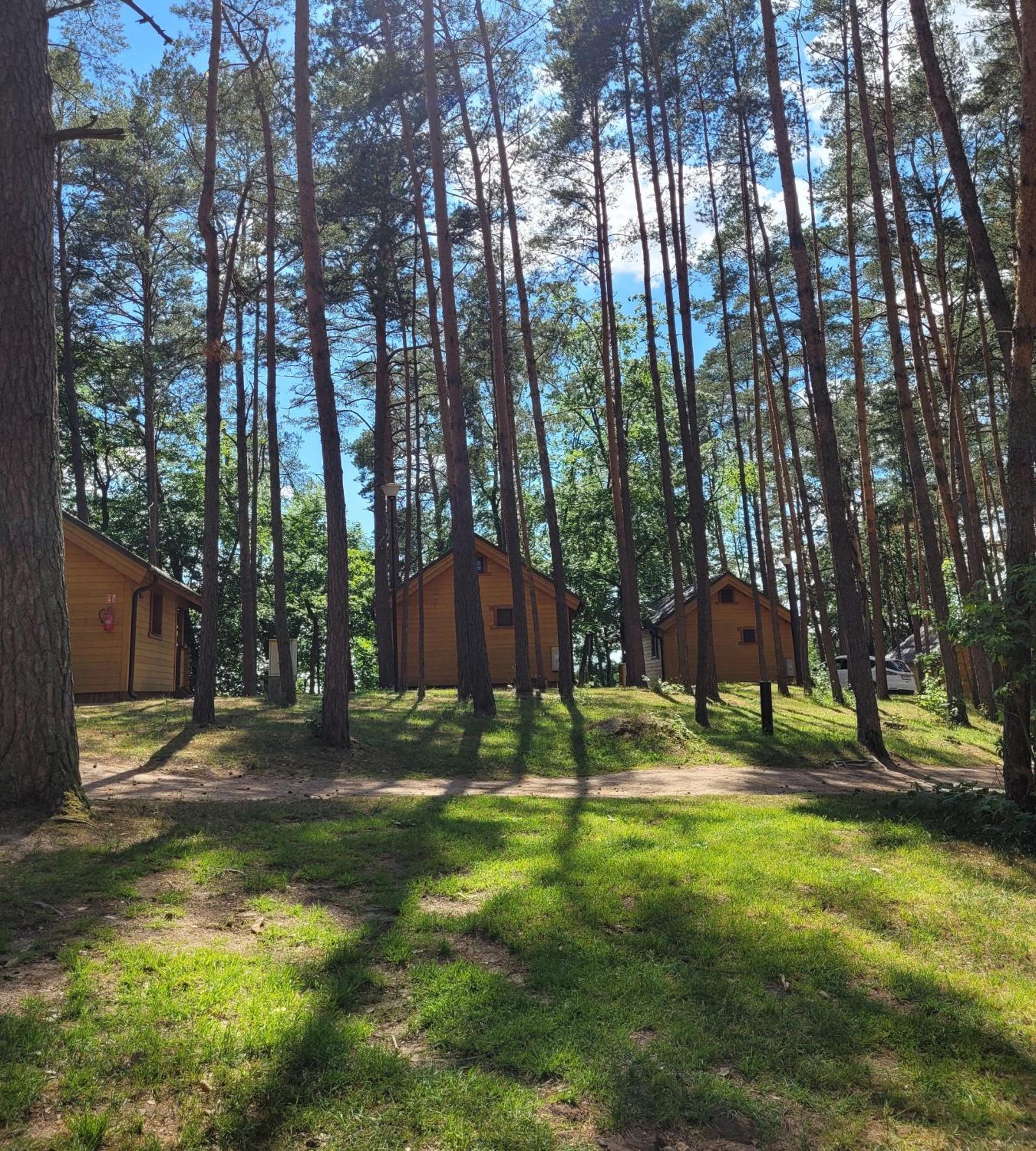 Kompleks Wypoczynkowy Półwysep Lipa Wdzydze Tucholskie Exterior foto